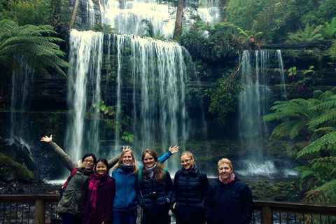 Mt Field National Park Active Day-Trip Including Bonorong And Mt Wellington - New South Wales Tourism  1