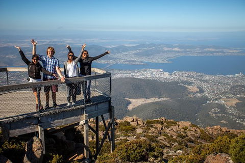 Mt Field National Park Active Day-Trip Including Bonorong And Mt Wellington - New South Wales Tourism  0