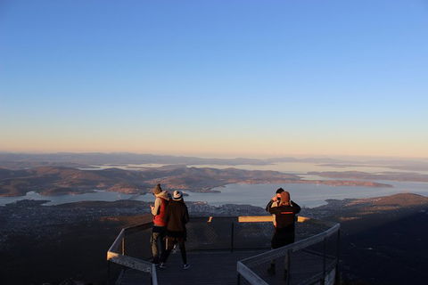 Mt Field National Park Active Day-Trip Including Bonorong And Mt Wellington - New South Wales Tourism  7