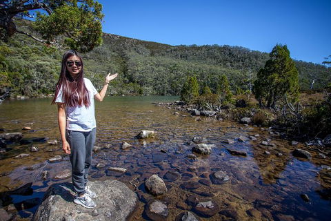 Mt Field National Park Active Day-Trip Including Bonorong And Mt Wellington - New South Wales Tourism  12