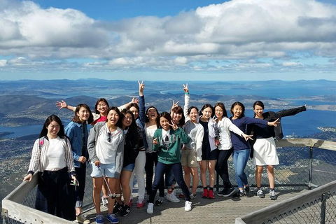 Mt Field National Park Active Day-Trip Including Bonorong And Mt Wellington - New South Wales Tourism  3
