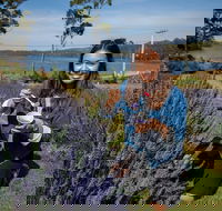 Port Arthur and Lavender Farm Active Day Tour - New South Wales Tourism 