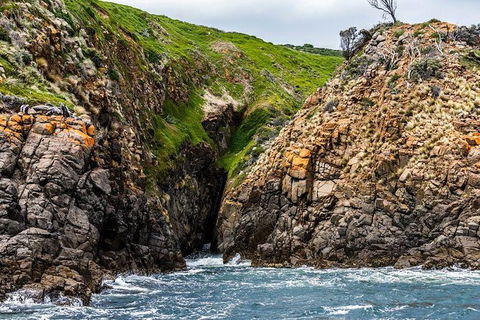 Hobart Sightseeing Cruise Including Iron Pot Lighthouse - New South Wales Tourism  3