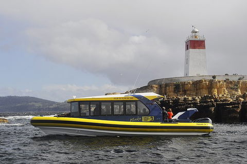 Hobart Sightseeing Cruise Including Iron Pot Lighthouse - New South Wales Tourism  7