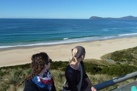 Small-Group Day Trip From Hobart To Bruny Island - New South Wales Tourism  9