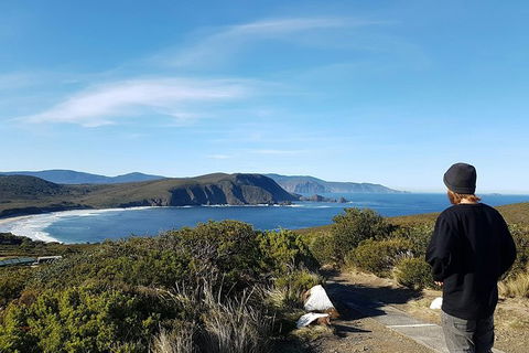 Small-Group Day Trip From Hobart To Bruny Island - New South Wales Tourism  6