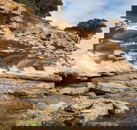 Maria Island premium private photo-oriented day tour from Hobart - New South Wales Tourism 
