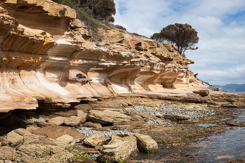 Maria Island Premium Private Photo-oriented Day Tour From Hobart - New South Wales Tourism  2