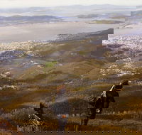 Mt Wellington Half Day Guided Summit Hike - New South Wales Tourism 
