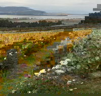 Mona and Wine Experience Tour - New South Wales Tourism 