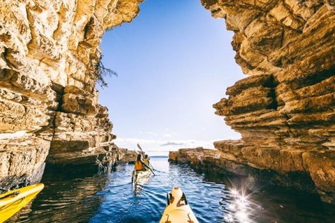Hobart Kayak Tour - New South Wales Tourism  0
