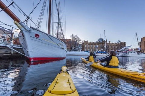 Hobart Kayak Tour - New South Wales Tourism  1