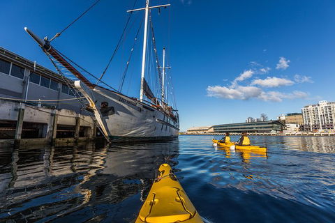 Hobart Kayak Tour - New South Wales Tourism  8