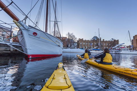 Hobart Kayak Tour - New South Wales Tourism  5