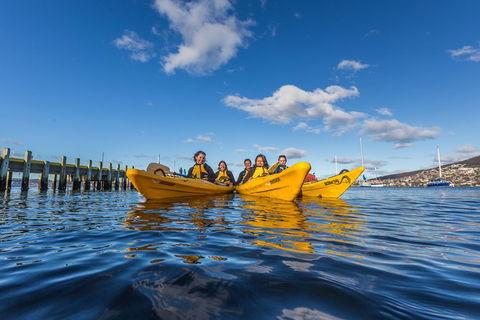 Hobart Kayak Tour - New South Wales Tourism  7
