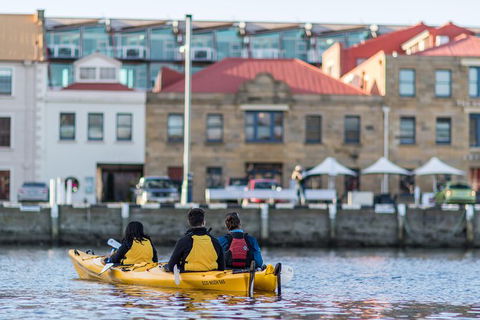 Hobart Kayak Tour - New South Wales Tourism  6