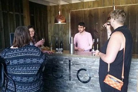 Tamar Valley Food And Wine Day Trip From Devonport, Ulverstone Or Burnie - New South Wales Tourism  1