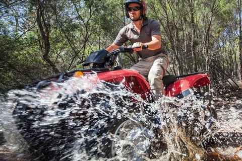 Half-Day Guided ATV Exploration Tour From Coles Bay - New South Wales Tourism  1