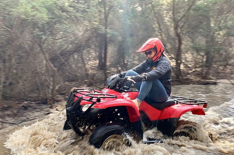 Half-Day Guided ATV Exploration Tour From Coles Bay - New South Wales Tourism  7
