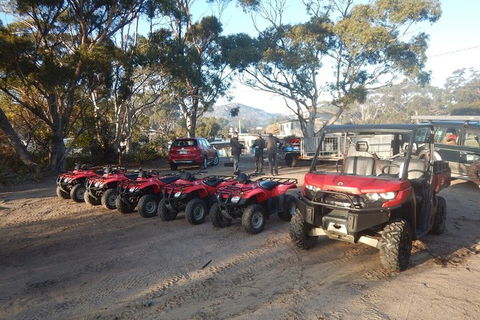 Half-Day Guided ATV Exploration Tour From Coles Bay - New South Wales Tourism  4