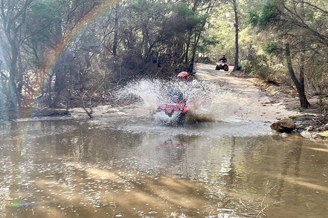 Half-Day Guided ATV Exploration Tour From Coles Bay - New South Wales Tourism  3