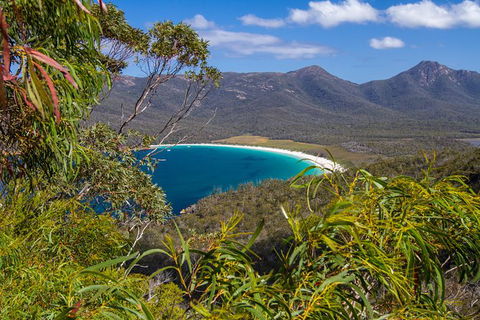 4x4 And Lunch Full Day Freycinet And Wineglass Bay - New South Wales Tourism  1