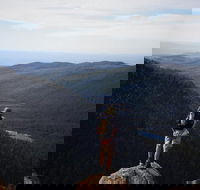Mount Field National Park - Tarn Shelf  Russell Falls - Guided Hiking Tour - New South Wales Tourism 