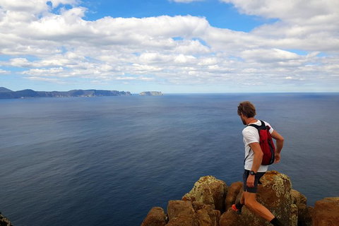 2-Day: Hobart Adventure Tour: Maria Island National Park And Cape Raoul Hike - New South Wales Tourism  1