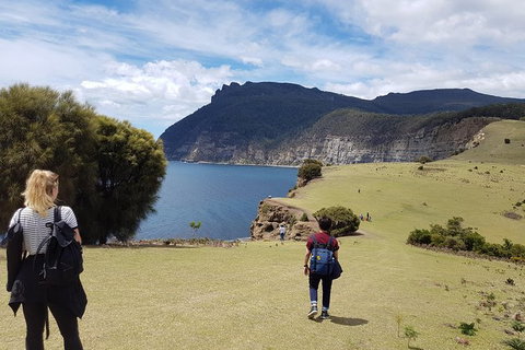 3-Day: Hobart Nature Walking Tour: Maria Island, Cape Raoul & Mount Field - New South Wales Tourism  3