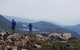 3-Day: Hobart Nature Walking Tour: Maria Island, Cape Raoul & Mount Field - thumb 11
