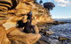 3-Day: Hobart Nature Walking Tour: Maria Island, Cape Raoul & Mount Field - thumb 2