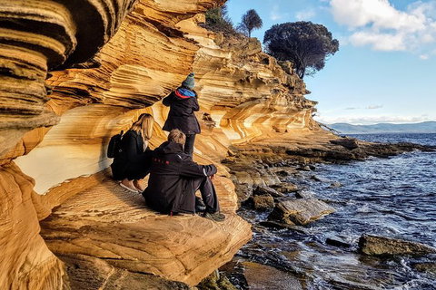 3-Day: Hobart Nature Walking Tour: Maria Island, Cape Raoul & Mount Field - New South Wales Tourism  2
