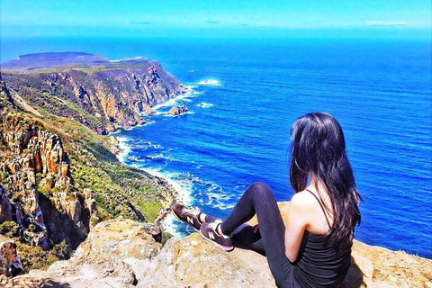 3-Day: Hobart Nature Walking Tour: Maria Island, Cape Raoul & Mount Field - New South Wales Tourism  5