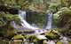 3-Day: Hobart Nature Walking Tour: Maria Island, Cape Raoul & Mount Field - thumb 10