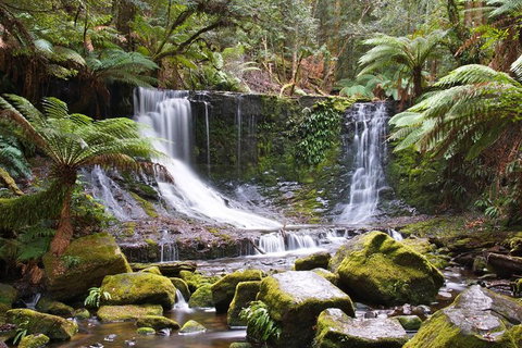 3-Day: Hobart Nature Walking Tour: Maria Island, Cape Raoul & Mount Field - New South Wales Tourism  10