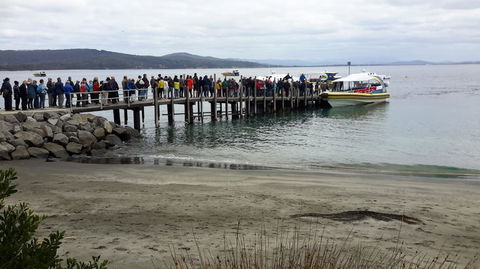 Full-Day Bruny Island Tour From Hobart - New South Wales Tourism  4