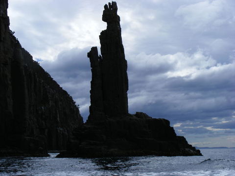 Full-Day Bruny Island Tour From Hobart - New South Wales Tourism  25