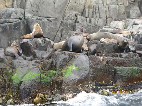 Full-Day Bruny Island Tour From Hobart - New South Wales Tourism  2