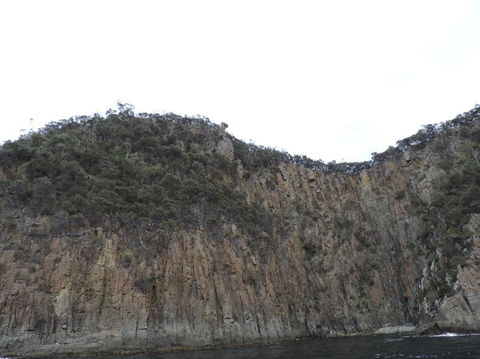 Full-Day Bruny Island Tour From Hobart - New South Wales Tourism  12