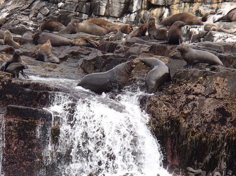 Full-Day Bruny Island Tour From Hobart - New South Wales Tourism  21