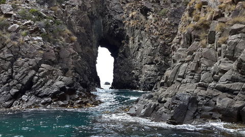 Full-Day Bruny Island Tour From Hobart - New South Wales Tourism  8
