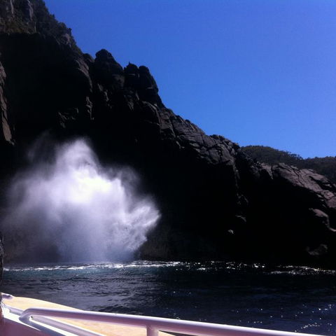 Full-Day Bruny Island Tour From Hobart - New South Wales Tourism  18
