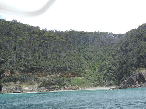 Full-Day Bruny Island Tour From Hobart - New South Wales Tourism  10