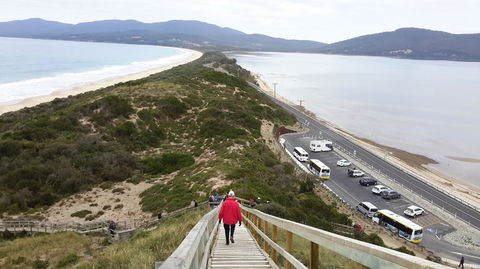 Full-Day Bruny Island Tour From Hobart - New South Wales Tourism  7