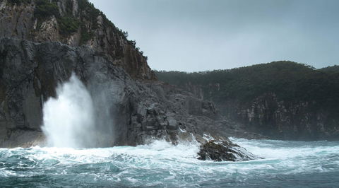 Full-Day Bruny Island Tour From Hobart - New South Wales Tourism  22