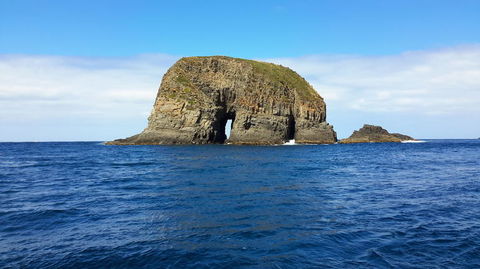 Full-Day Bruny Island Tour From Hobart - New South Wales Tourism  5