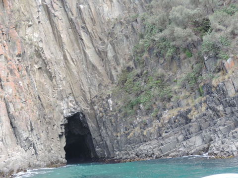 Full-Day Bruny Island Tour From Hobart - New South Wales Tourism  13