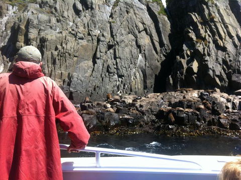 Full-Day Bruny Island Tour From Hobart - New South Wales Tourism  19