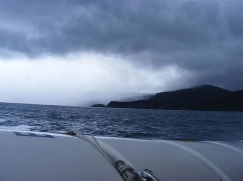 Full-Day Bruny Island Tour From Hobart - New South Wales Tourism  23