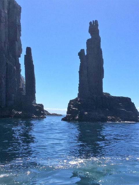 Full-Day Bruny Island Tour From Hobart - New South Wales Tourism  16